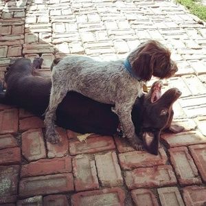 Meet your Posher, Jen